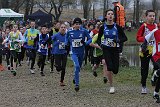 IMG 8294