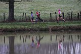 IMG 8317