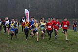 IMG 8337