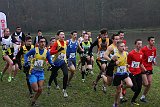 IMG 8338