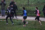 IMG 8431