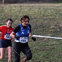 IMG 8782