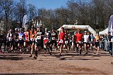 IMG 9115