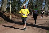 IMG 9145