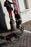 IMG 0326