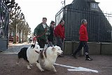 IMG 0240