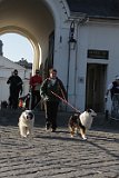 IMG 0285