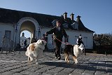 IMG 0286
