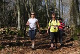 IMG 0745