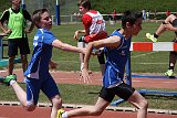IMG 5230