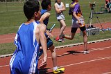 IMG 5231