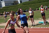 IMG 5237