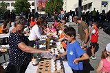 IMG 8697