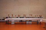 IMG 0672