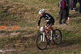 IMG 0157