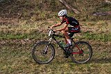 IMG 0161