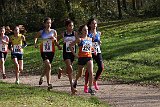 IMG 0754