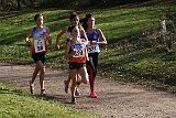 IMG 0755
