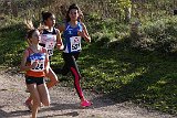 IMG 0756