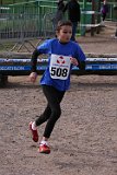 IMG 0781
