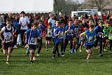 IMG 0785
