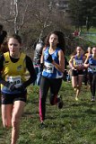 IMG 2764