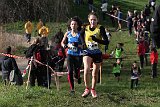 IMG 2768