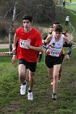 IMG 2981
