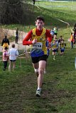 IMG 2987