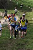 IMG 2990