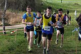IMG 2992