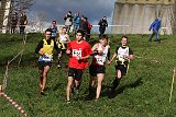 IMG 3005
