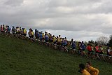 IMG 3349