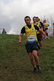 IMG 3373