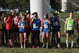 IMG 3078