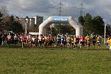 IMG 3080