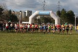 IMG 3081