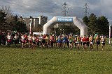 IMG 3082