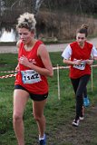 IMG 3106