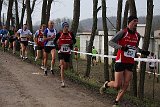IMG 3824