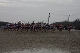 IMG 5658