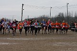 IMG 4227