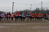 IMG 4228