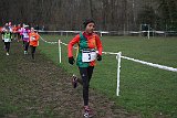 IMG 4247