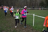 IMG 4249