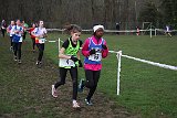 IMG 4250