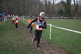 IMG 4257