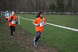 IMG 4259