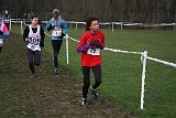 IMG 4263