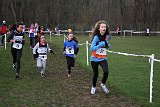 IMG 4268